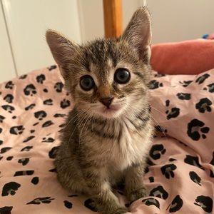 Meet your Posher, Ashley